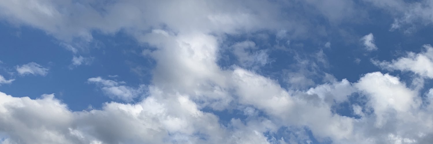 Sree banner
