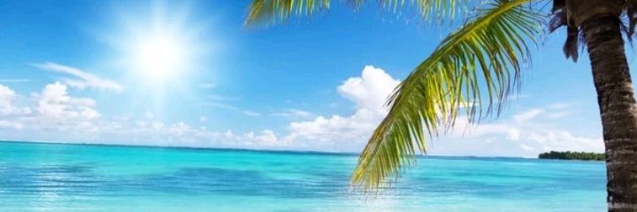 MARySOL 🌊&☀️ banner