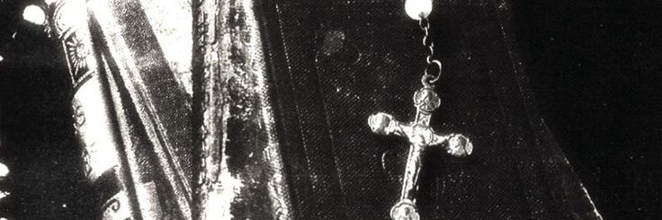 🦇 banner