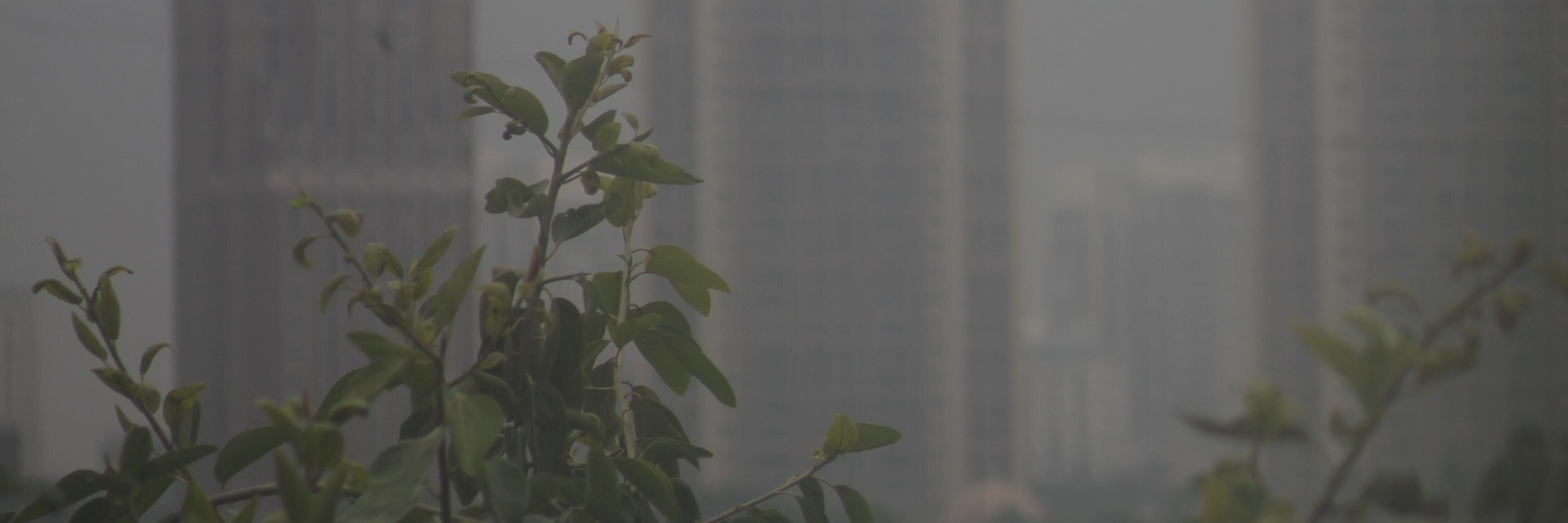 shoestitch's profile banner image