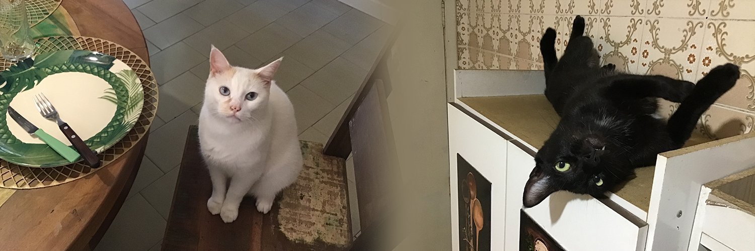 vicneel banner