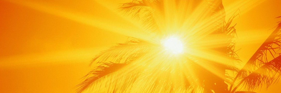 Tosrico's profile banner image