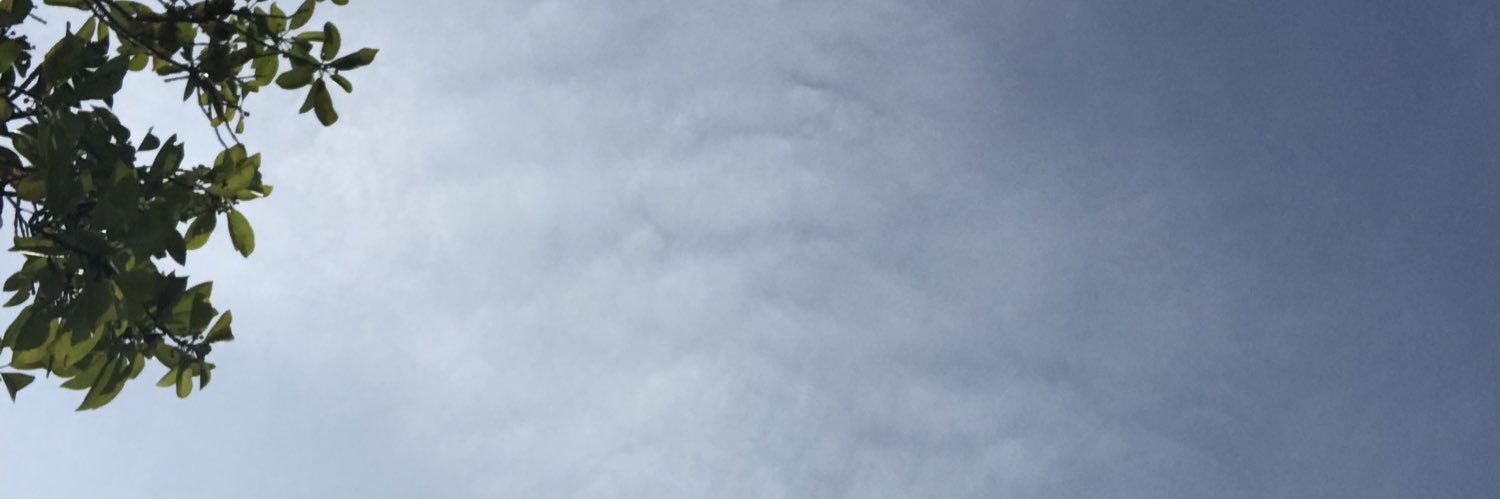 geldreyes's profile banner image