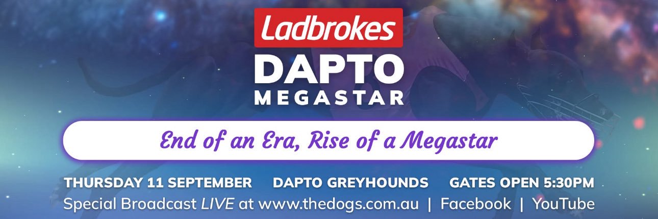 Dapto Greyhounds banner