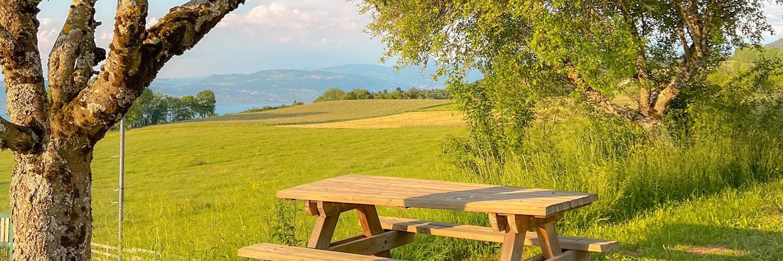 abil 🛒*+:｡.｡ banner