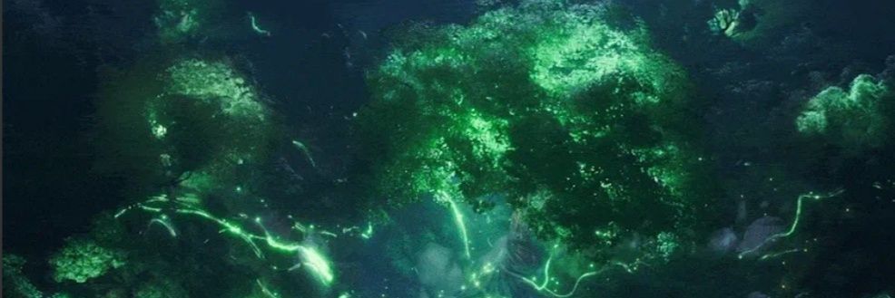 Andrés Tole 🇦🇷 banner