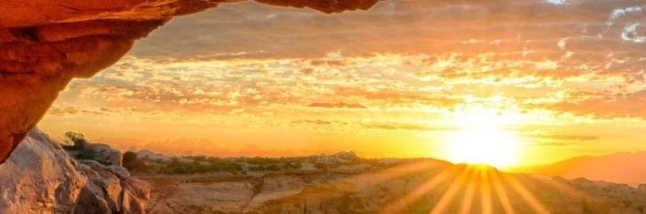 mowaleym's profile banner image