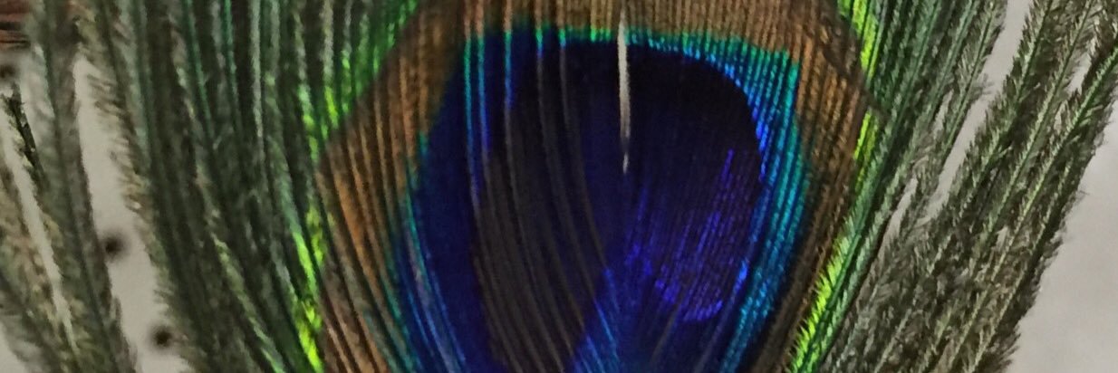Judith17Adonay's profile banner image