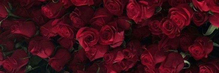 jeinnieh's profile banner image