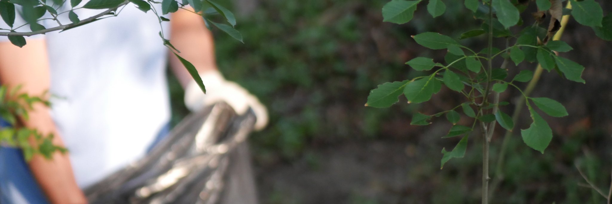 UTCEC's profile banner image