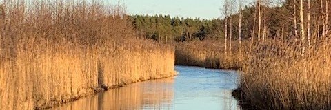 anna_fredholm's profile banner image