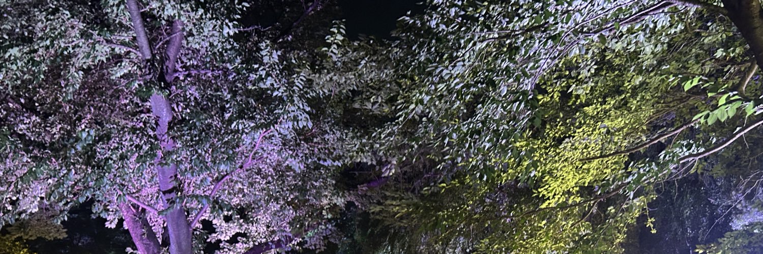 mfmf_wanchan's profile banner image