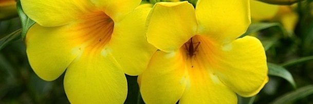 nduk_ida's profile banner image