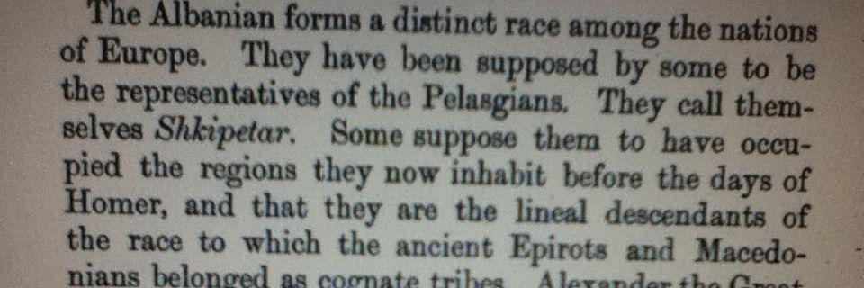 altin meta🇦🇱🇮🇪🇮🇹 banner