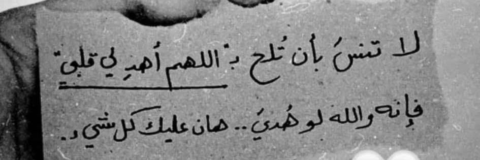 Zii Hamdy banner