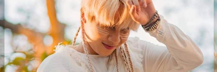 🐱🌻🐝 banner