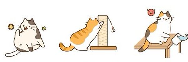 catsilcats Profile Banner