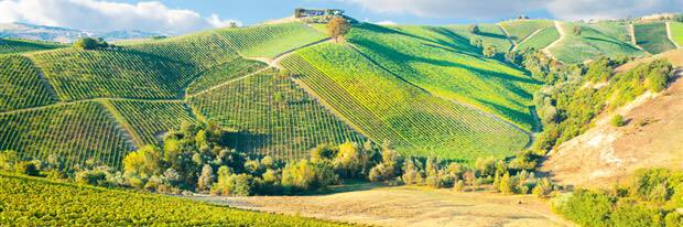 Cheval Blanc banner