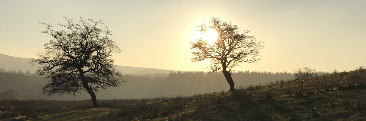 Samantha Brown banner