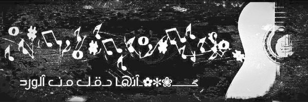 TF1_ip Profile Banner