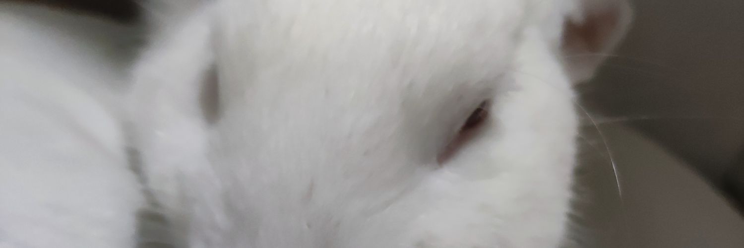 kree banner