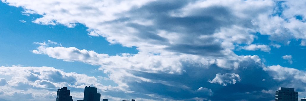 Flying_Mole's profile banner image