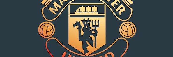 solskjaernandes's profile banner image