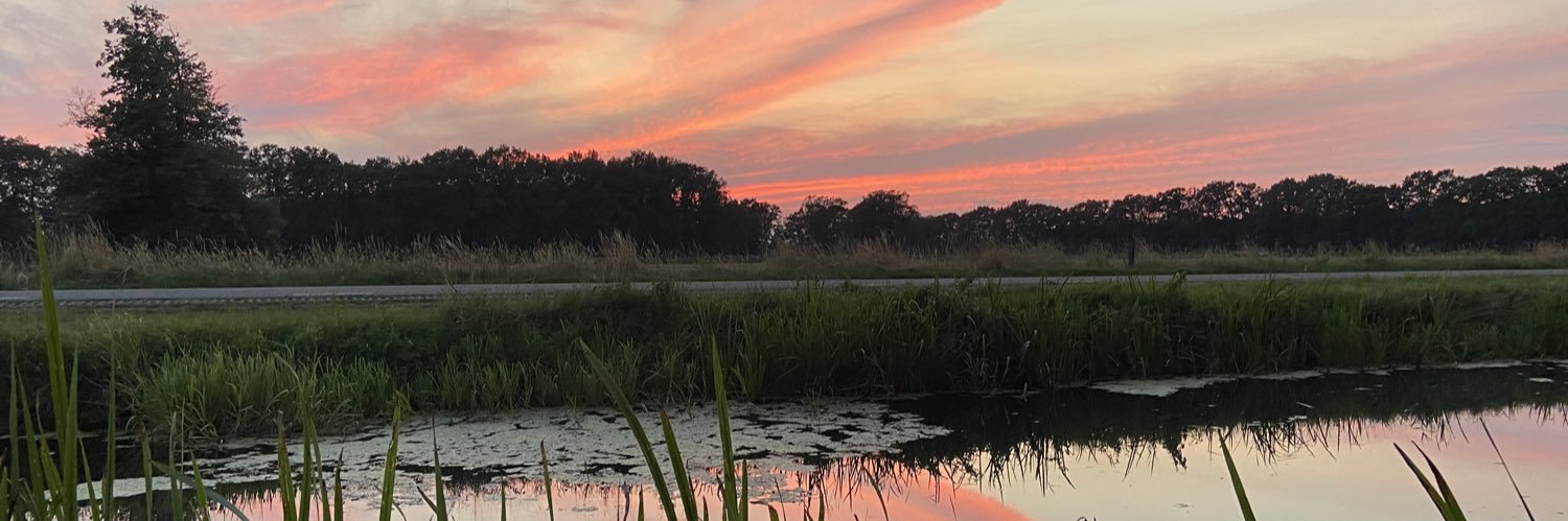 Karin van der Toorn banner