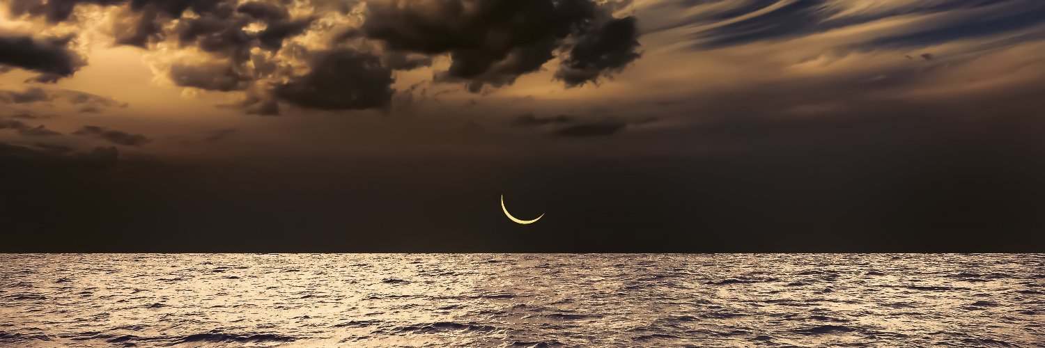 Benjamin Wolf banner