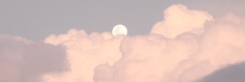 IzaAnchus's profile banner image