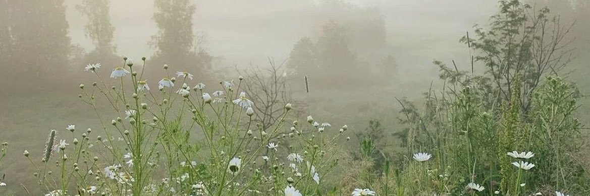 DFSXSO's profile banner image