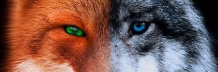 The_KarLin21 banner