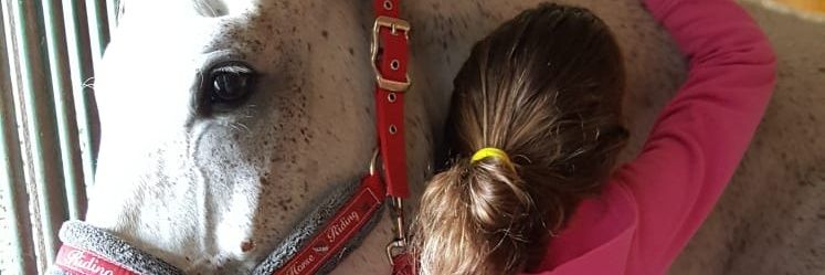 Elicriso Cristina MARIA NATALE 📿🌹🕯(C)👑 banner