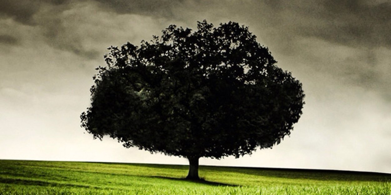 PabloIfran2's profile banner image