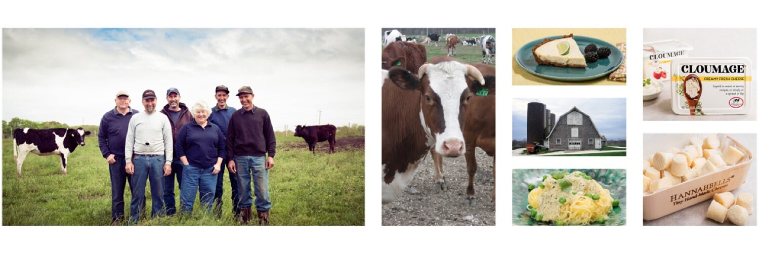 Shy Brothers Farm banner