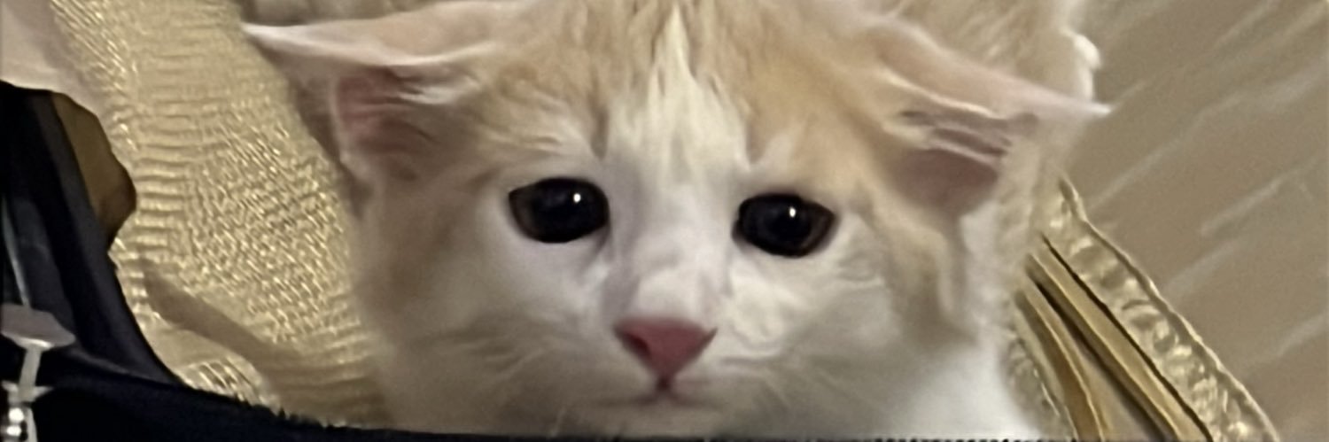 nursyaahiraaa's profile banner image