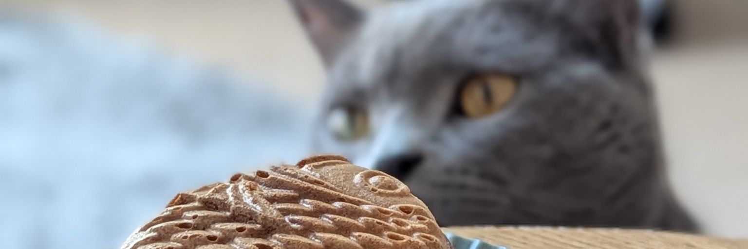 iusoken's profile banner image