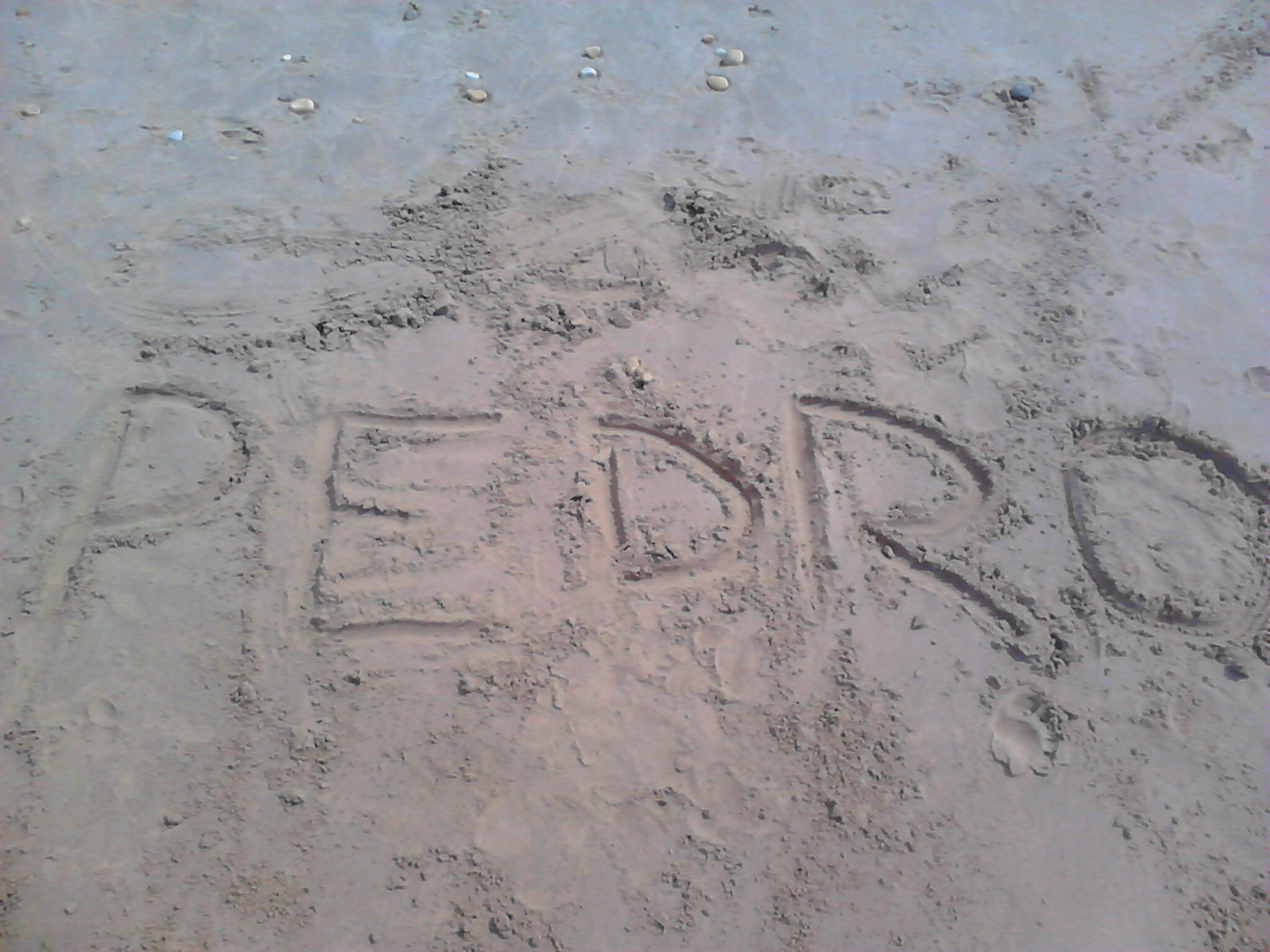 Pedritho_5's profile banner image