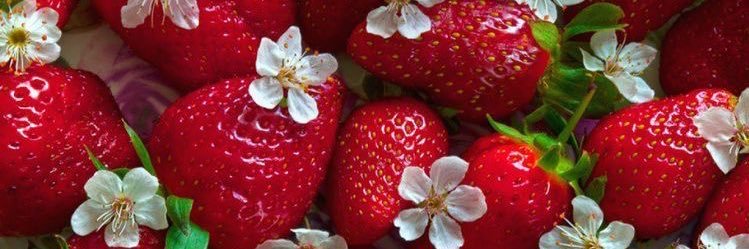 みっちゃんだよ banner