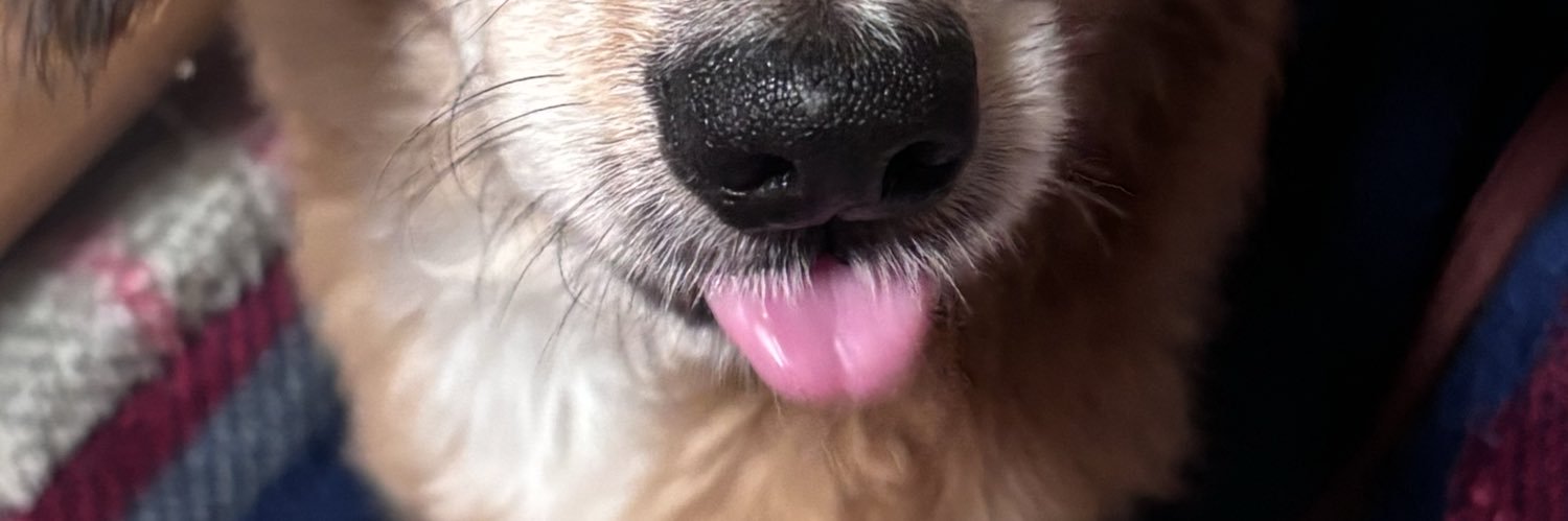 lvgn_8's profile banner image