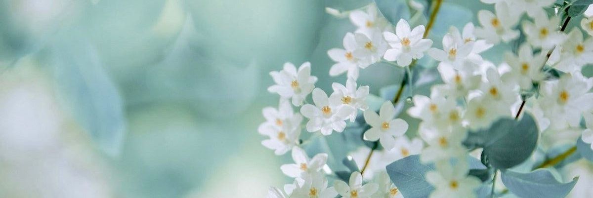 jasmee_n33's profile banner image
