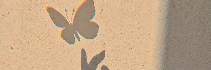 rysha886's profile banner image