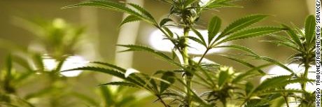 Brian Dombrowski banner