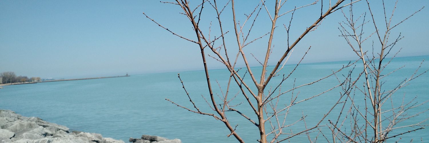 EssayMuch's profile banner image