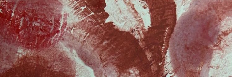 werka33 banner