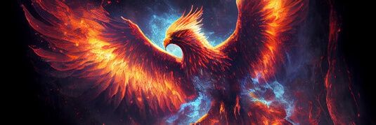 Insaafion's profile banner image