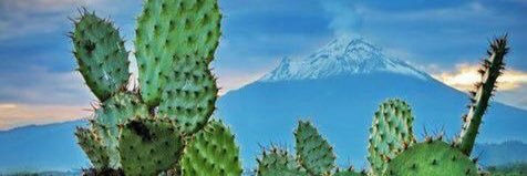 astrid_mx's profile banner image