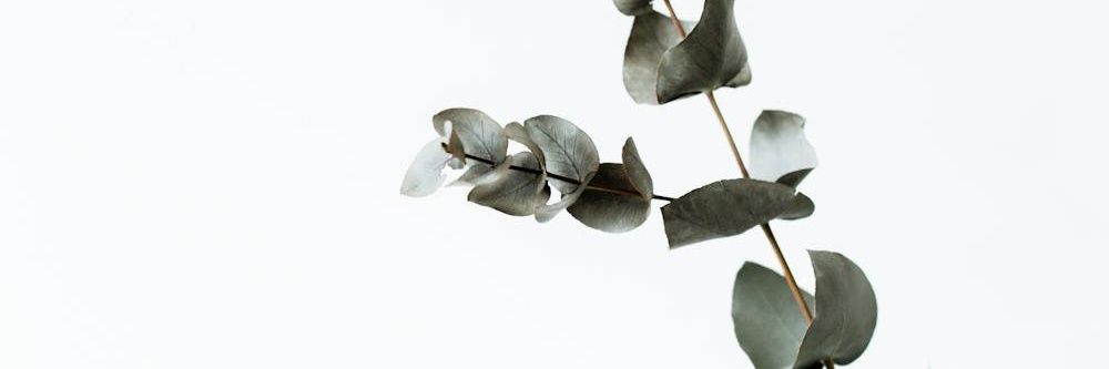 OM___1008's profile banner image