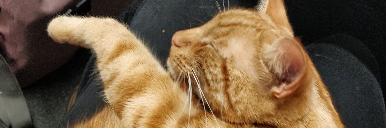 ratherforky's profile banner image