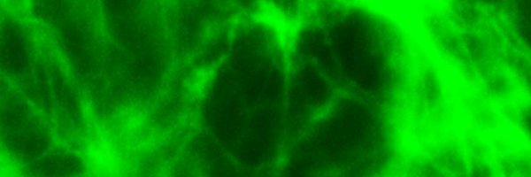 HeurichMeike Profile Banner